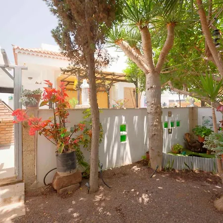 Balines Arona (Tenerife)